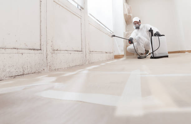 24/7 Emergency Black Mold Removal experts in Warrenton, VA